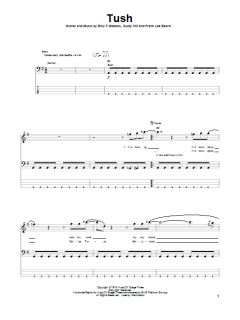 Tush von Dusty Hill (Download) 