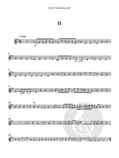 Flute Concerto No. 9 in E minor von Robert Woodcock 