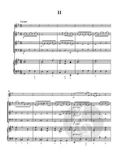 Flute Concerto No. 9 in E minor von Robert Woodcock 