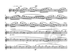 24 Melodic Studies von Graham Lyons 