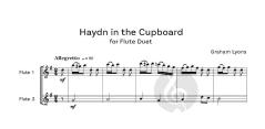 !TooT TooT! Flexible Woodwind Duets von Graham Lyons 