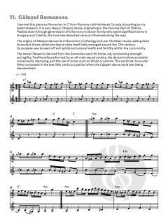 Balkan Music from the Danube von Gundula Stojanova Gruen 