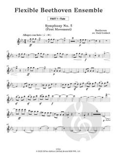Flexible Beethoven Ensemble von Mark Goddard 