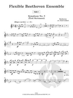 Flexible Beethoven Ensemble von Mark Goddard 