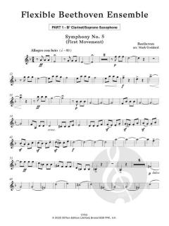 Flexible Beethoven Ensemble von Mark Goddard 