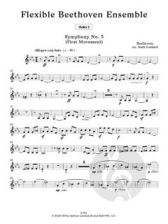 Flexible Beethoven Ensemble von Mark Goddard 