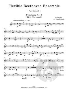 Flexible Beethoven Ensemble von Mark Goddard 