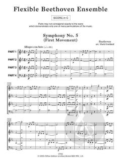 Flexible Beethoven Ensemble von Mark Goddard 