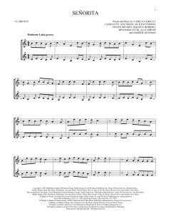 SeÃ±orita von Ben Levin (Download) 