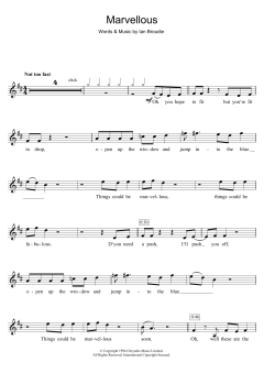 Marvellous von The Lightning Seeds (Download) 