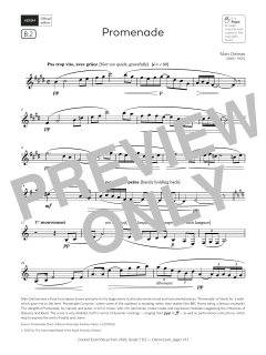 Promenade von Marc Delmas (Download) 