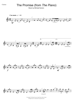 The Promise von Michael Nyman (Download) 