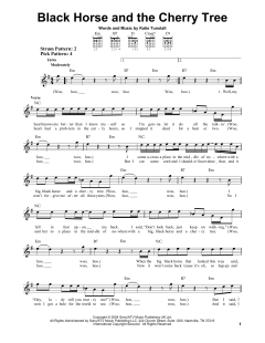 Black Horse And The Cherry Tree von KT Tunstall (Download) 