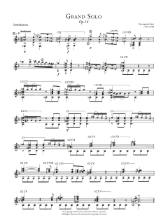 Grand Solo Opus 14 von Fernando Sor (Download) 