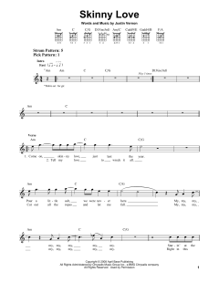 Skinny Love von Bon Iver (Download) 