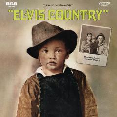 Snowbird von Elvis Presley (Download) 