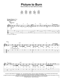 Picture To Burn von Taylor Swift (Download) 