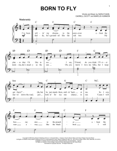 Born To Fly von Sara Evans (Download) 