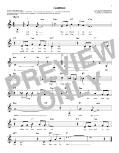 Flamingo von Ted Grouya (Download) 