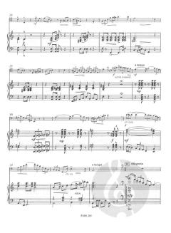 Concerto Primo DOWNLOAD von Richard Zettler 