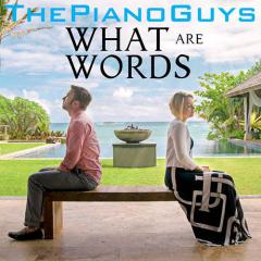 What Are Words von Chris Medina (Download) 