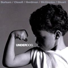 Get Down von Audio Adrenaline (Download) 