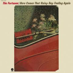 Here Comes That Rainy Day Feeling Again von Roger Cook (Download) 