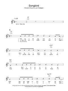 Songbird von Oasis (Download) 