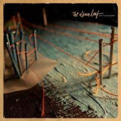 The Light von The Album Leaf (Download) 