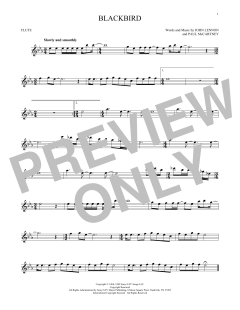 Blackbird von Wings (Download) 