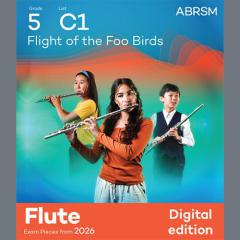 Flight of the Foo Birds von Neal Hefti (Download) 