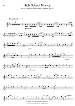 High School Musical von Robbie Nevil (Download) 