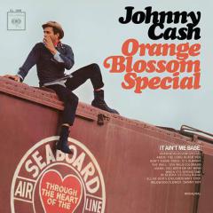 Orange Blossom Special von Johnny Hiland (Download) 