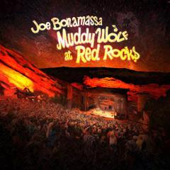 All Aboard von Muddy Waters (Download) 