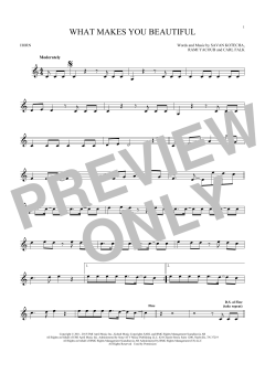 What Makes You Beautiful von One Direction (Download) 
