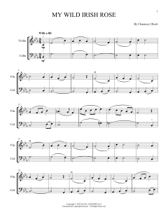 My Wild Irish Rose von Chauncey Olcott (Download) 