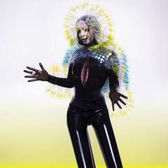 Black Lake von Björk (Download) 