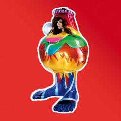 The Dull Flame Of Desire von Björk (Download) 