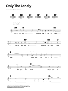 Only The Lonely von Roy Orbison (Download) 