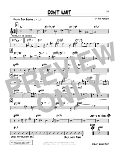 Don't Wait von Pat Metheny (Download) 