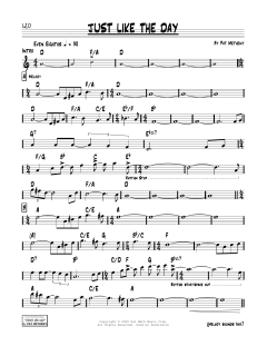 Just Like The Day von Pat Metheny (Download) 