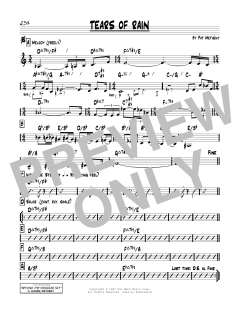 Tears Of Rain von Pat Metheny (Download) 