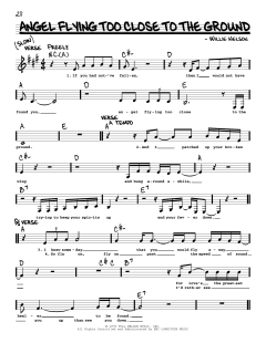 Angel Flying Too Close To The Ground von Willie Nelson (Download) 