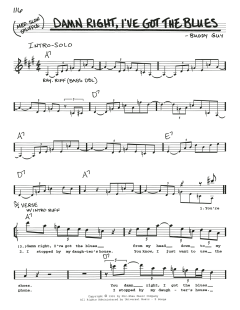 Damn Right, I've Got The Blues (Download) 