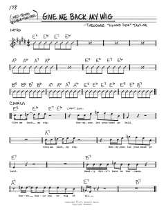 Give Me Back My Wig von Stevie Ray Vaughan (Download) 