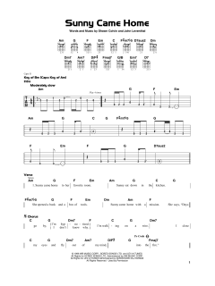 Sunny Came Home von Shawn Colvin (Download) 