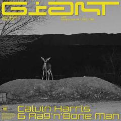 Giant von Jamie Hartman (Download) 