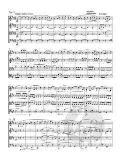 Streichquartett cis-Moll op. 131 von Ludwig van Beethoven (Download) 