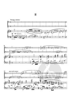 Hungarian Folk Song Suite von Helen Glatz (Download) 