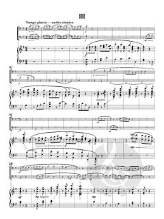 Hungarian Folk Song Suite von Helen Glatz (Download) 